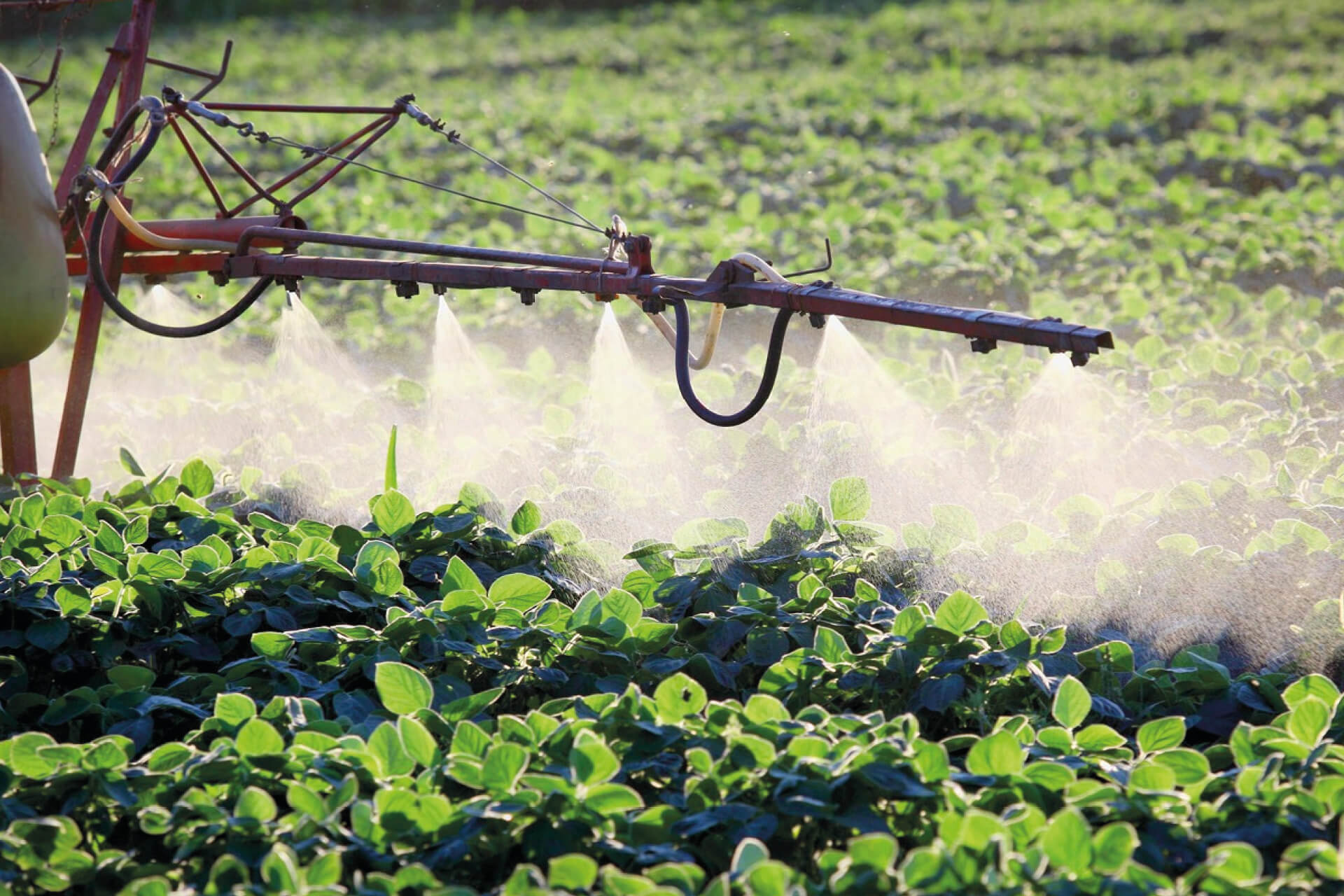 Обработка полей пестицидами. Химикаты в сельском хозяйстве. Пестициды и гербициды. Опрыскивание ядохимикатами. Пестициды в сельском хозяйстве.